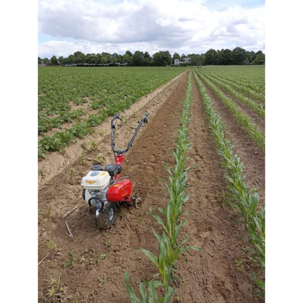MOTOBINEUSE ESSENCE HONDA 4,8CH 50CM – Image 2