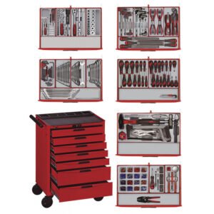 SERVANTE D'ATELIER COMPLÈTE PRO 491 OUTILS TENG